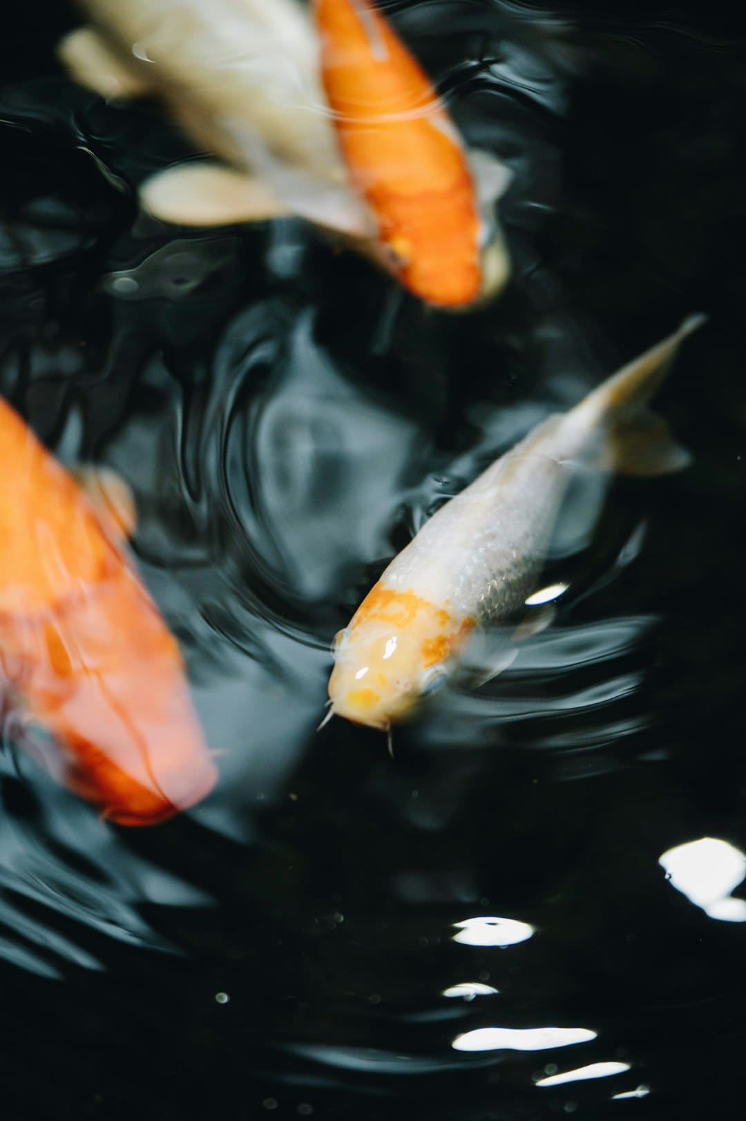 魂灵DIVA家家新专辑《你给我的》强势回归 三首主打歌MV累积破600万观看